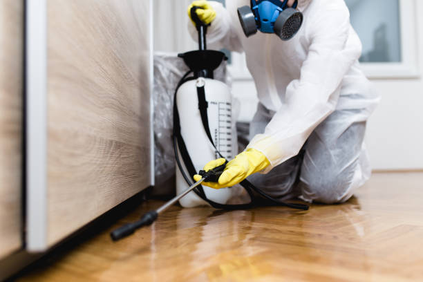 Best Termite Control Services  in Boulevard Gardens, FL
