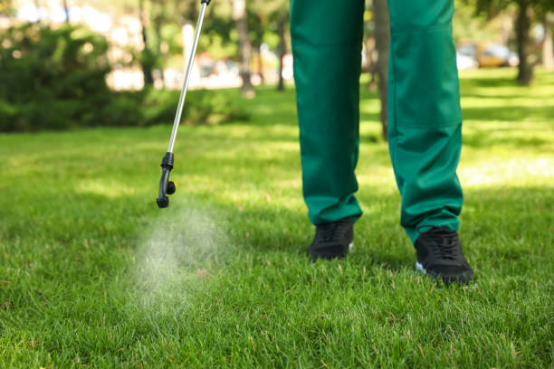 Best Local Pest Control Services  in Boulevard Gardens, FL