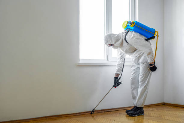 Best Mosquito Control Services  in Boulevard Gardens, FL