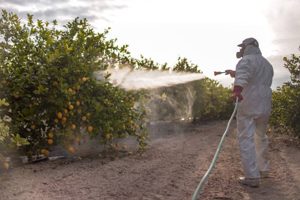 Best Mosquito Control Services  in Boulevard Gardens, FL
