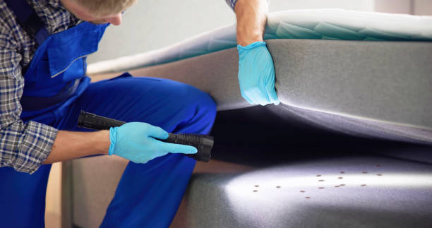 Best Termite Control Services  in Boulevard Gardens, FL