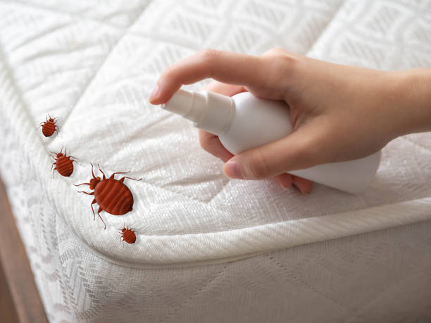 Best Best Pest Control Companies  in Boulevard Gardens, FL