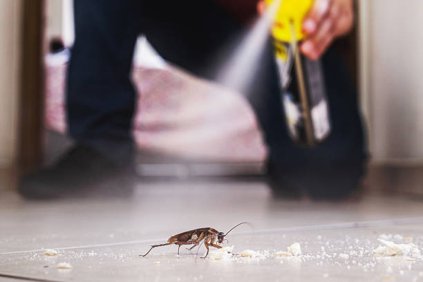 Best Pest Inspection Near Me  in Boulevard Gardens, FL