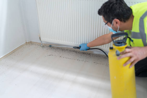 Best Residential Pest Control  in Boulevard Gardens, FL
