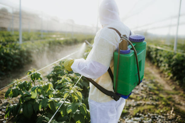  Boulevard Gardens, FL Pest Control Pros